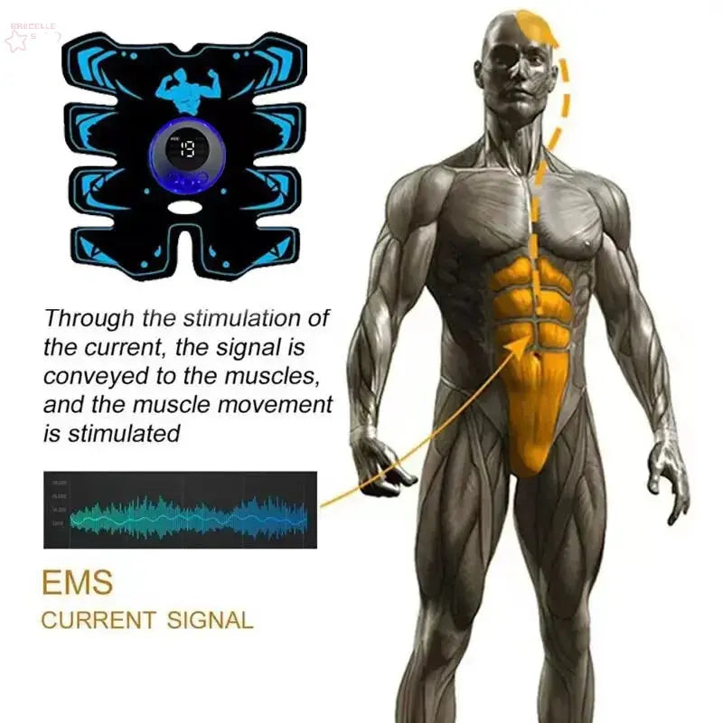 3 in 1 Original EMS Body Muscles - Brocelles