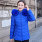 BROCELLES Winter Jacket Women Brocelles.