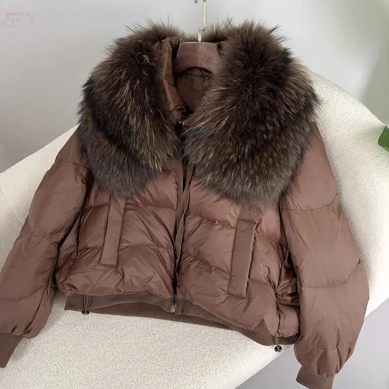 BROCELLES Winter Puffer Jacket Women Brocelles.