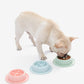 Cat and Dog Shared Pet Slow Food Slow Food Bowl Brocelles