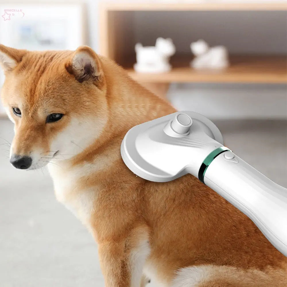 Pet Comb Hair Dryer - Brocelles