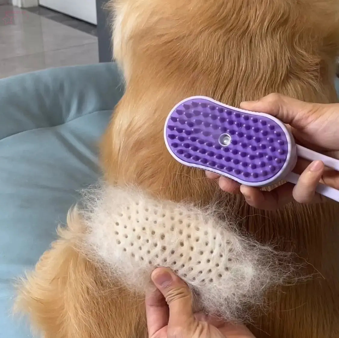 Pet Electric Spray Hair Removal Comb - Brocelles