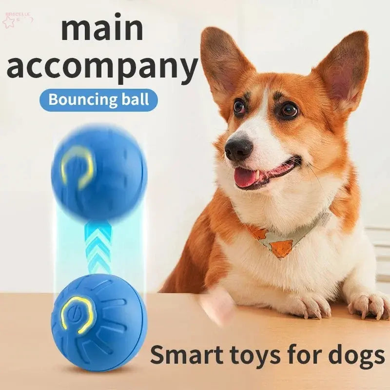 Smart Dog Toy Ball - Electronic Interactive Pet Toy eprolo