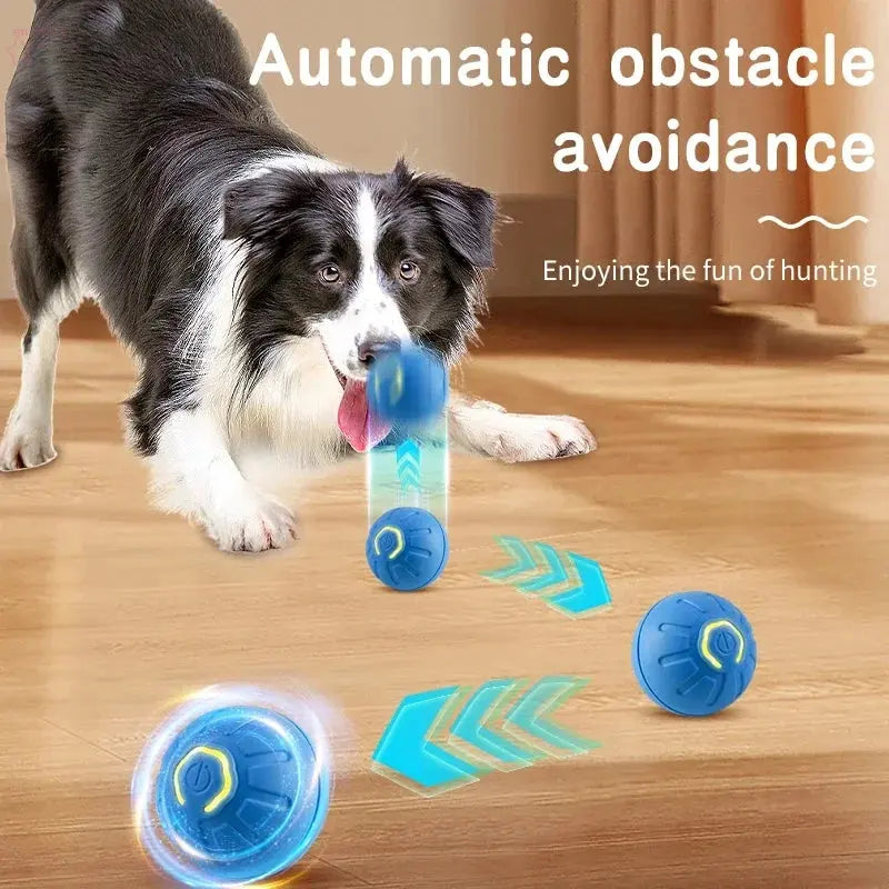 Smart Dog Toy Ball - Electronic Interactive Pet Toy eprolo